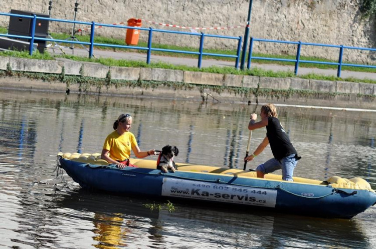 Vodní hry na Malši
