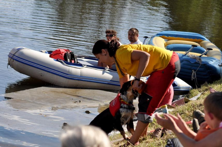 Vodní hry na Malši