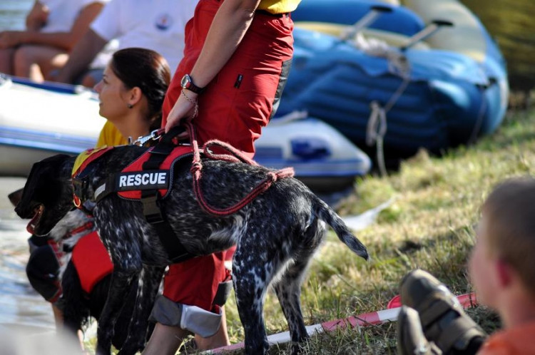 Vodní hry na Malši