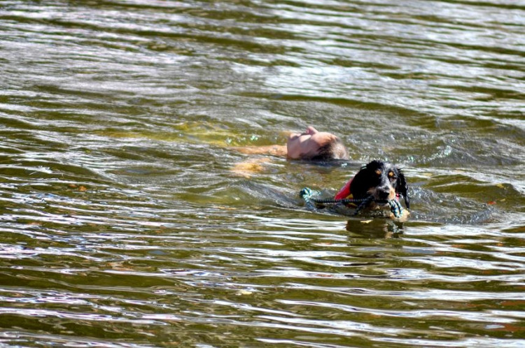 Vodní hry na Malši