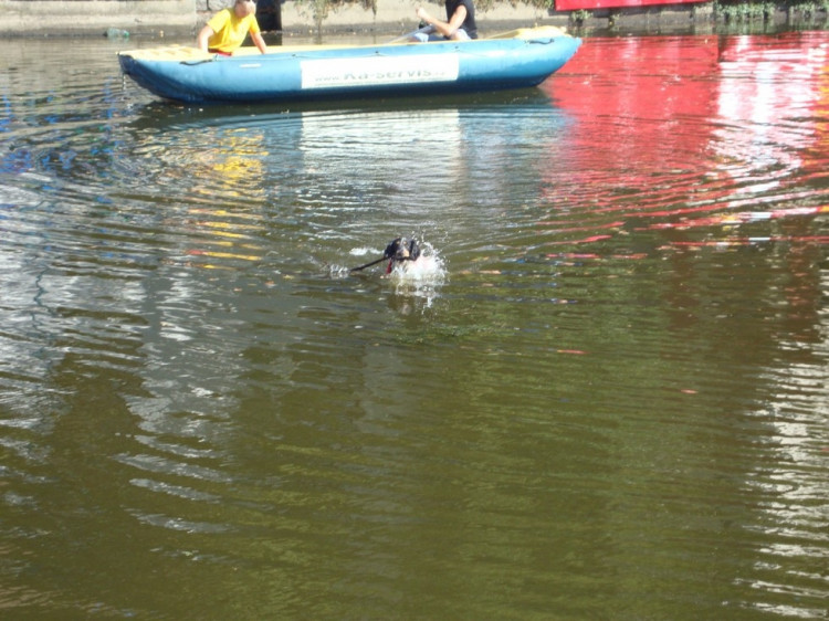 Vodní hry, nebo hry na vodě