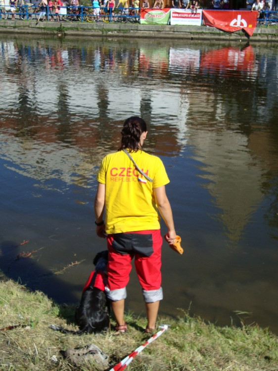 Vodní hry, nebo hry na vodě