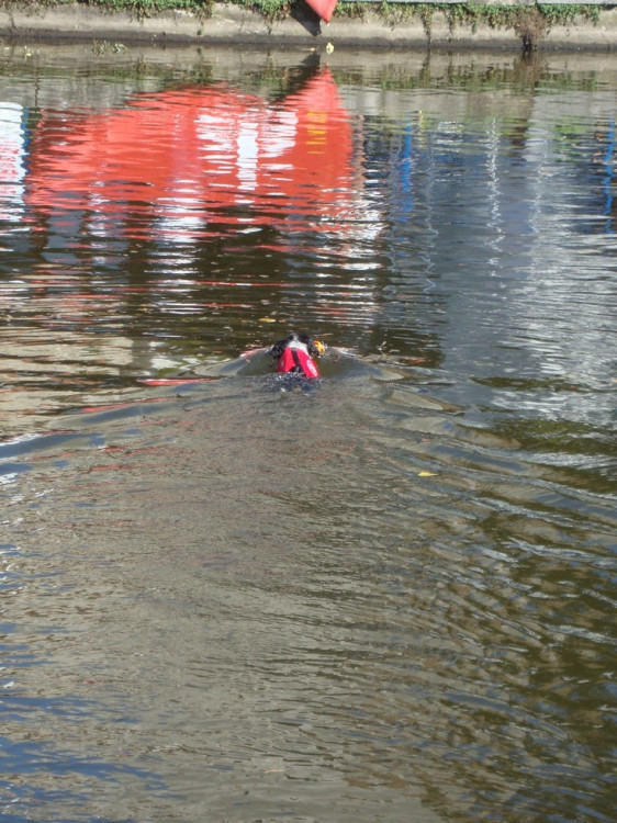 Vodní hry, nebo hry na vodě