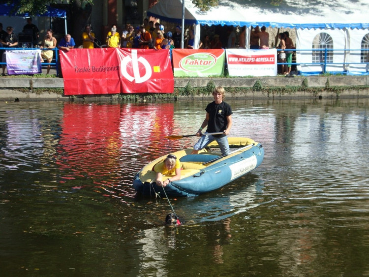 Vodní hry, nebo hry na vodě