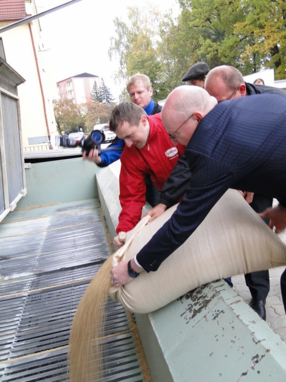 vysypání požehnaného ječmene