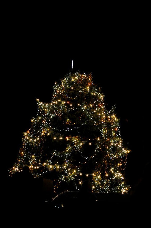 Budějcký advent 26.11.2011 116