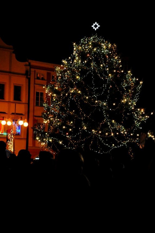 Budějcký advent 26.11.2011 171