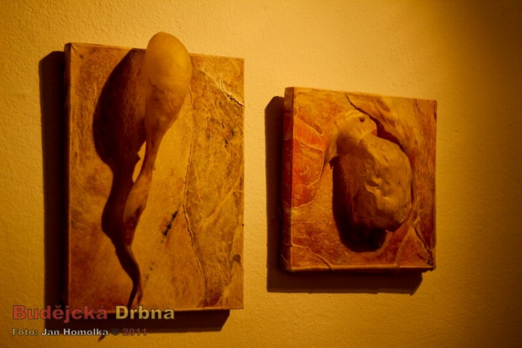 Wortnerův dům/Alšovka/