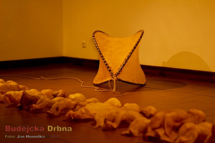 Wortnerův dům/Alšovka/