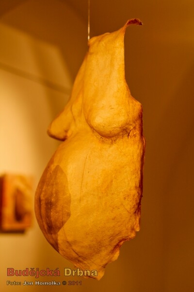 Wortnerův dům/Alšovka/