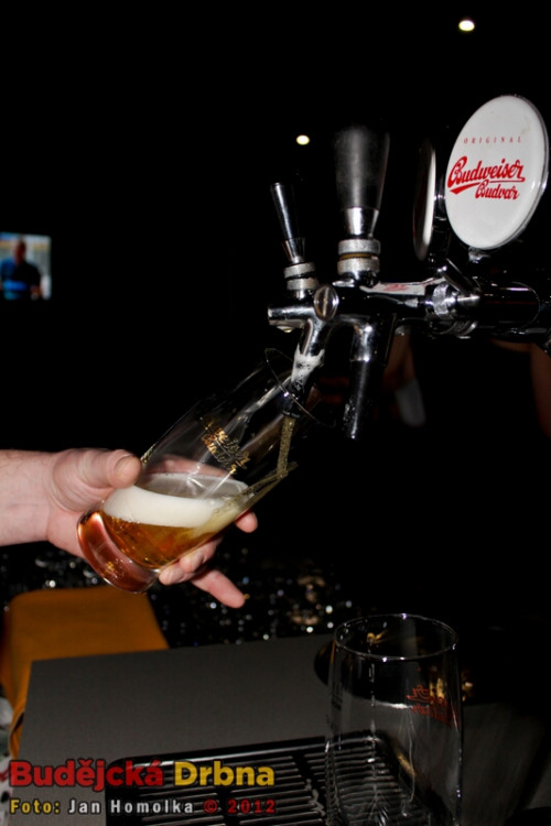 Volejbalový ples 2012