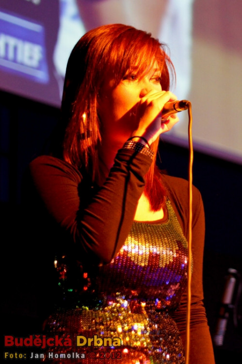 Volejbalový ples 2012