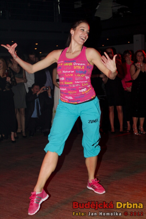 Volejbalový ples 2012