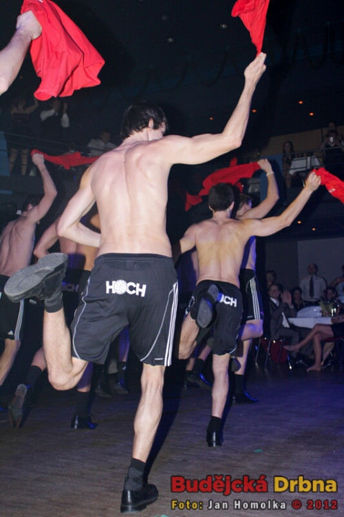 Volejbalový ples 2012