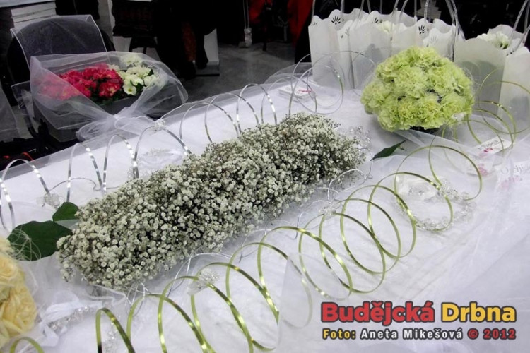 Svatební veletrh v Českých Budějovicích