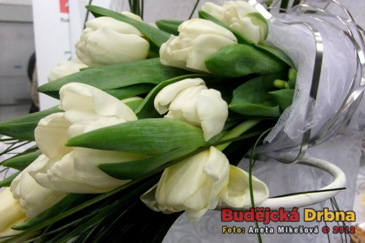 Svatební veletrh v Českých Budějovicích