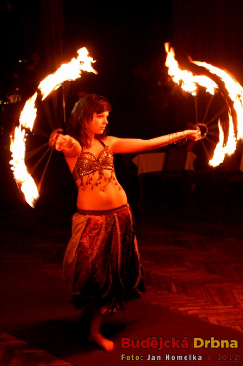 Valentýnský ples 2012