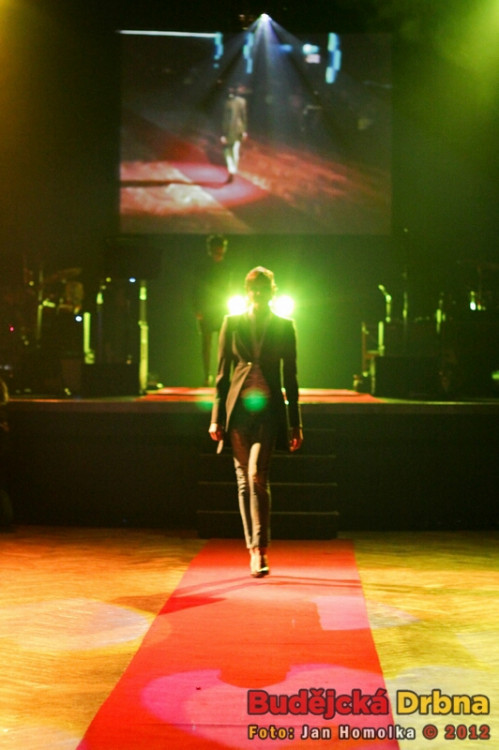 Valentýnský ples 2012