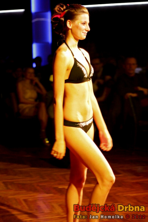 Valentýnský ples 2012