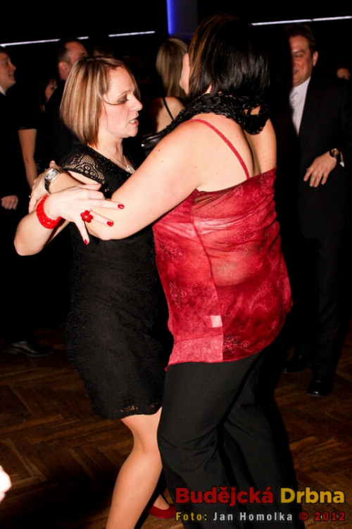 Valentýnský ples 2012