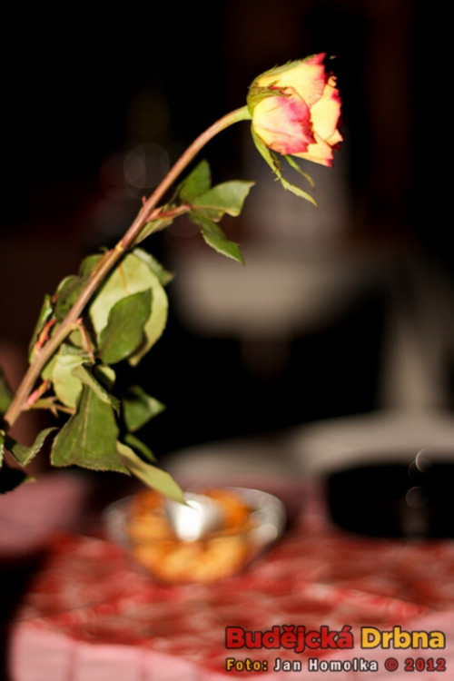 Valentýnský ples 2012