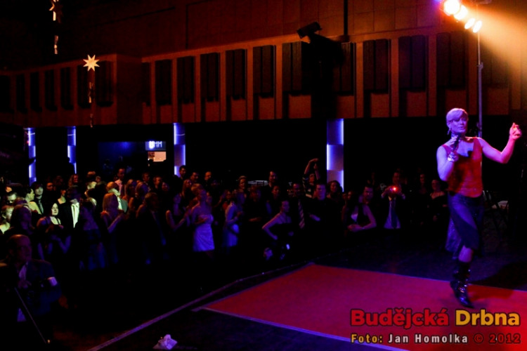 Valentýnský ples 2012