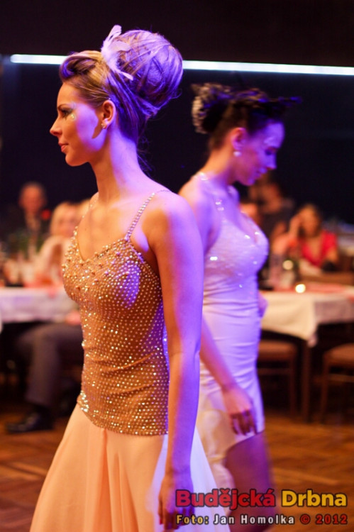 Valentýnský ples 2012