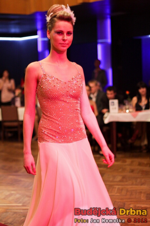 Valentýnský ples 2012