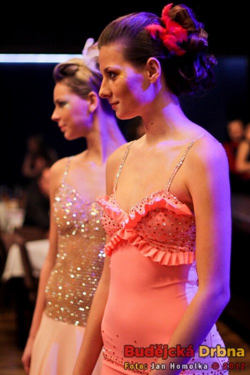 Valentýnský ples 2012