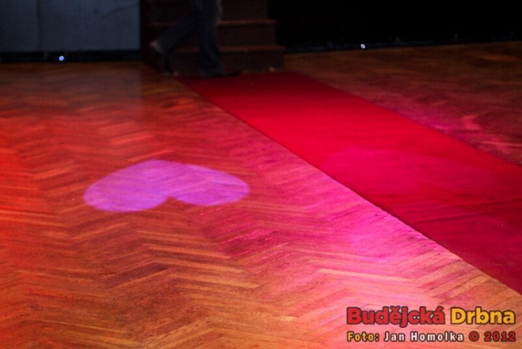 Valentýnský ples 2012