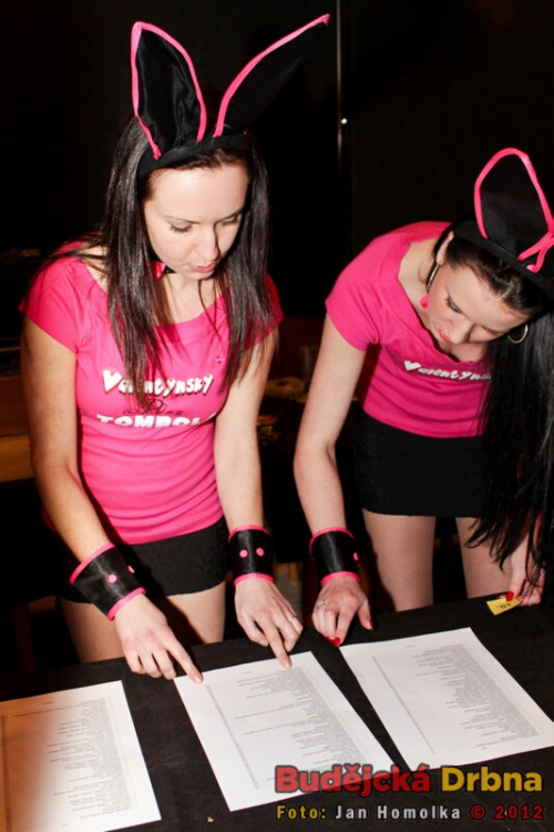 Valentýnský ples 2012