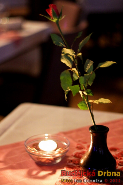 Valentýnský ples 2012