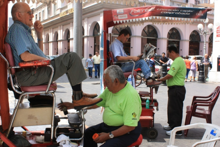 Veracruz - čističi bot