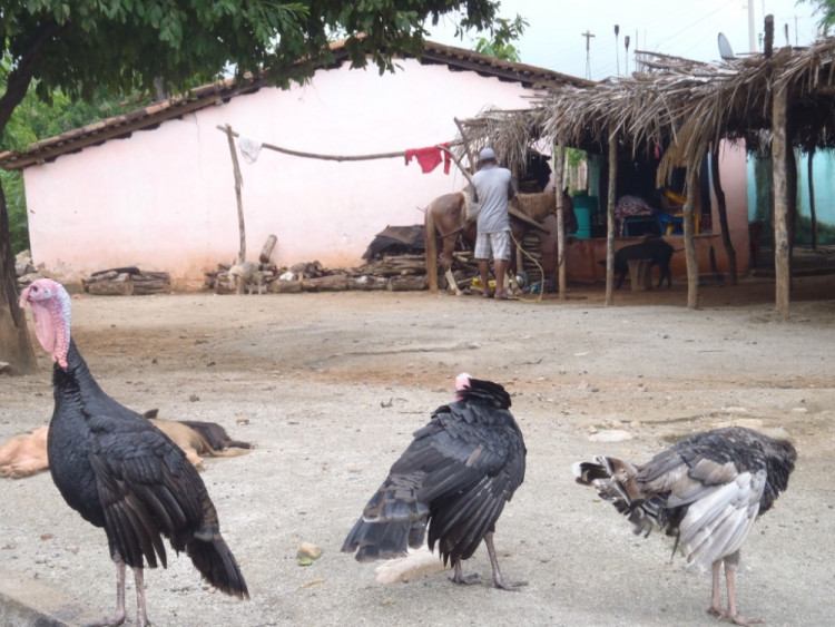 Oblast Guerrero - západní Mexico