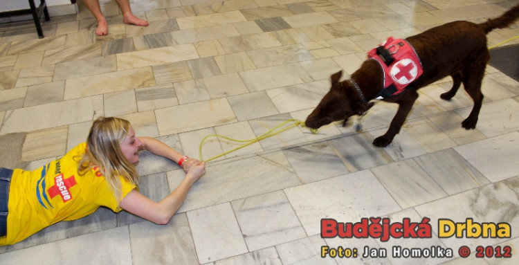 Volejbalový marathon o Pohár Jihočeské univerzity