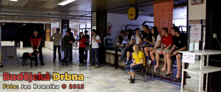 Volejbalový marathon o Pohár Jihočeské univerzity