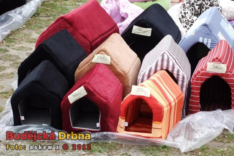 Mezinárodní  výstava psů v Českých Budějovicích