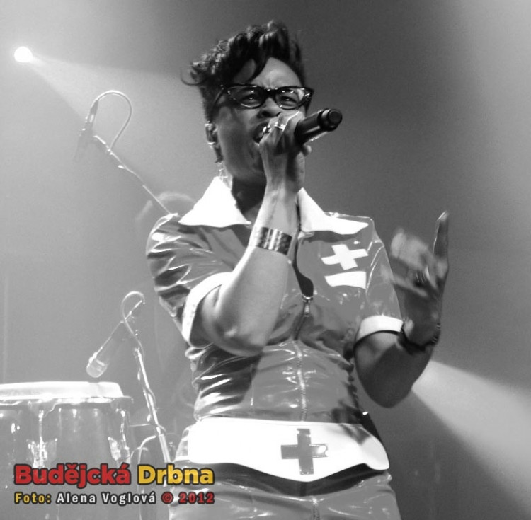 Koncert PSH a Monkey Business v Českých Budějovicích