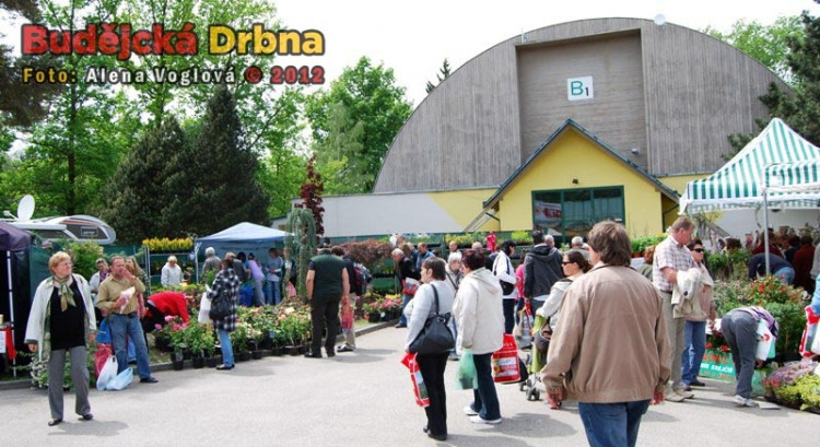 Hobby bylo plné květin, stromků a sazenic