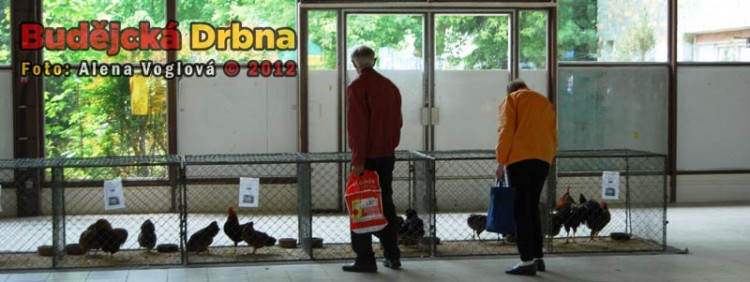 K vidění byla i domácí zvířata