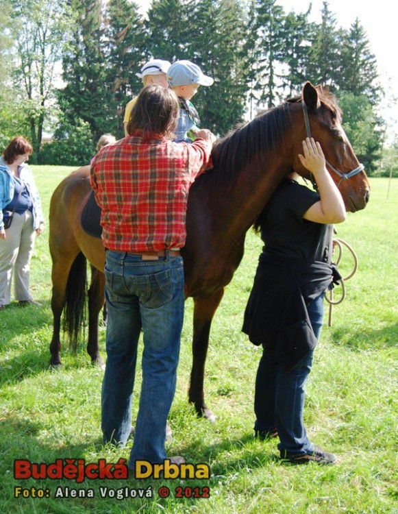 Dostávat děti do sedla celé odpoledne, to nebyla žádná sranda