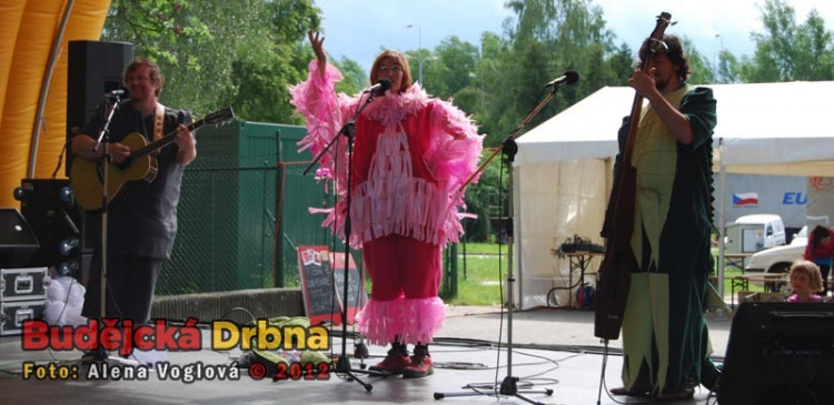 Zpívající plameňák