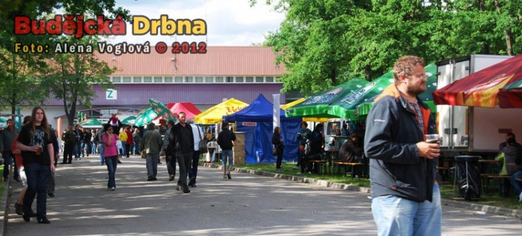 Nebylo zde téměř vidět člověka půllitru zlatavého moku