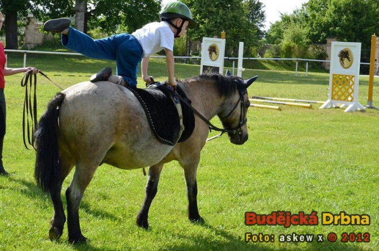 Setkání členů Regionální agrární komory Jihočeského kraje ve Dvoře Vondrov