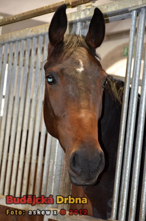 Setkání členů Regionální agrární komory Jihočeského kraje ve Dvoře Vondrov