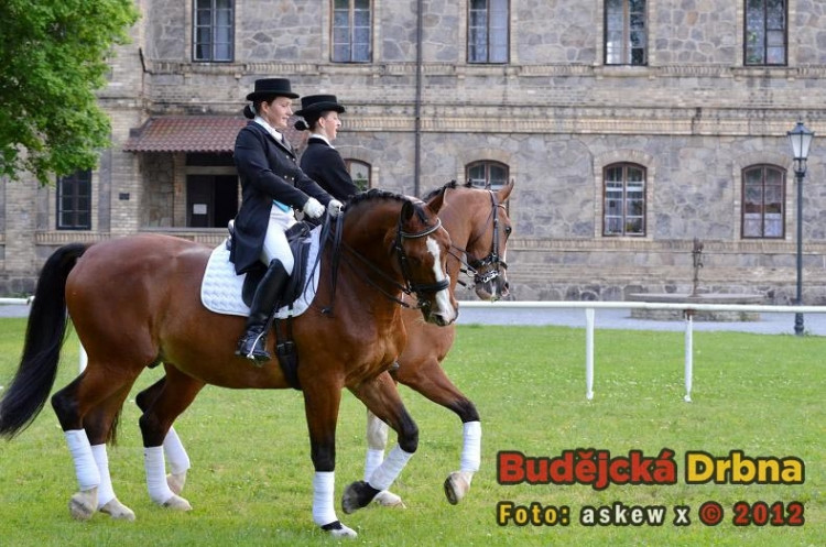 Setkání členů Regionální agrární komory Jihočeského kraje ve Dvoře Vondrov