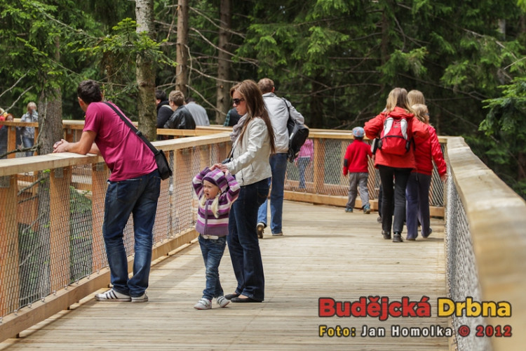 Slavnostní otevření Stezky korunami stromů