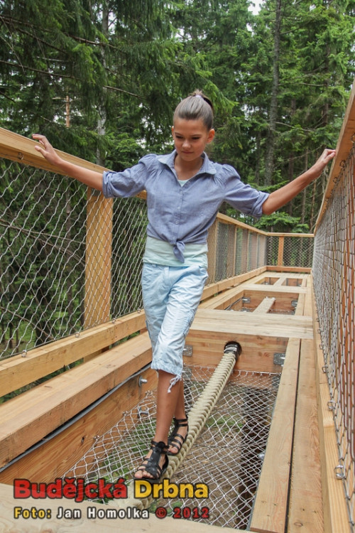 Slavnostní otevření Stezky korunami stromů