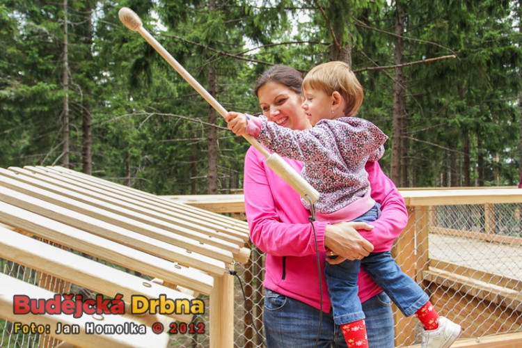 Slavnostní otevření Stezky korunami stromů