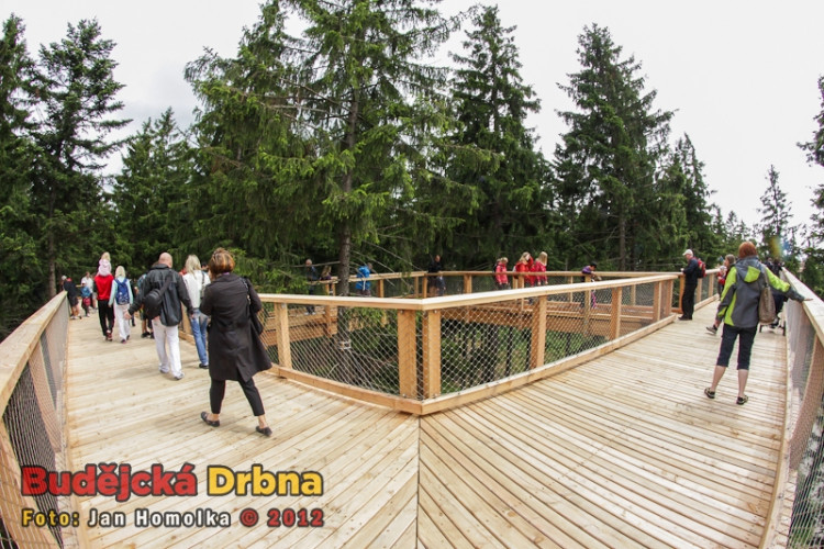 Slavnostní otevření Stezky korunami stromů